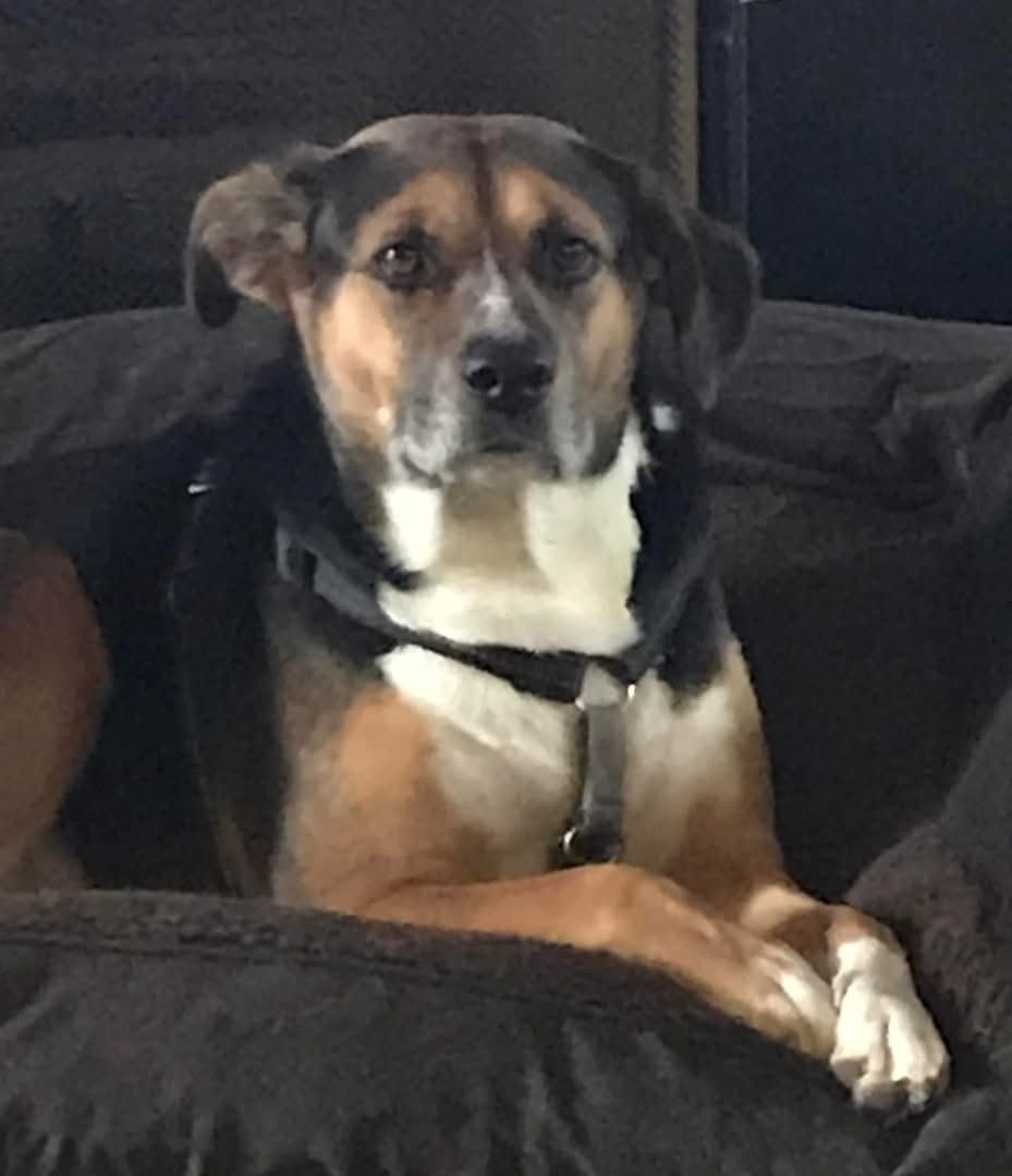 Maggie