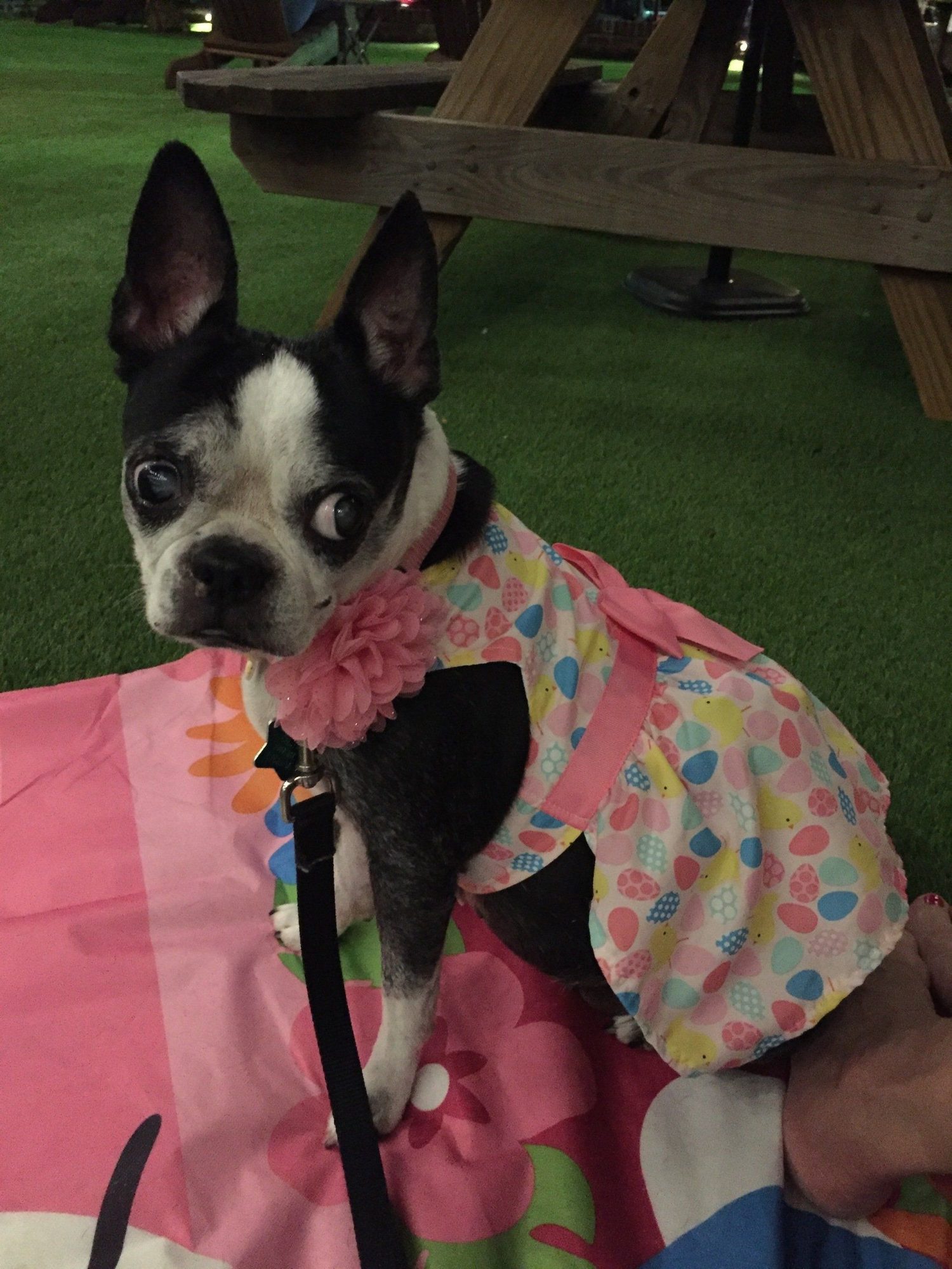 Bitsy Schwendner