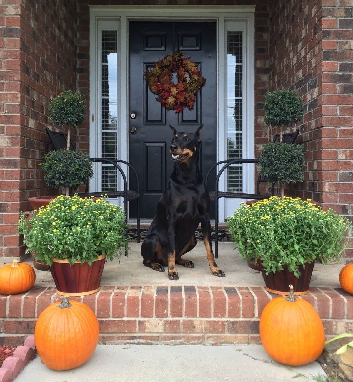 Bella