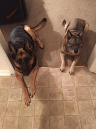 Jack and Jada Adams